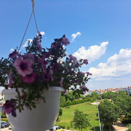 Battistella'S Near The Sea Apartment Ровин Екстериор снимка