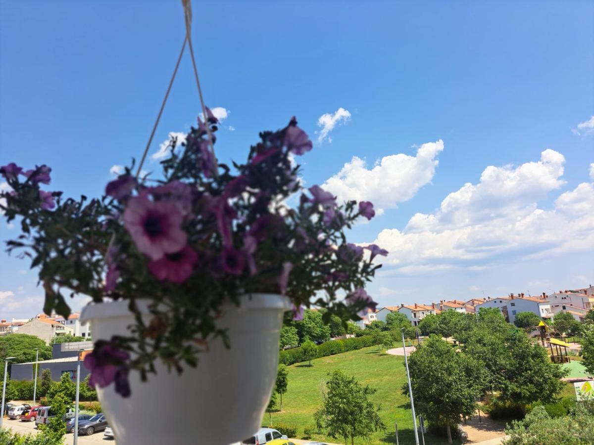 Battistella'S Near The Sea Apartment Ровин Екстериор снимка